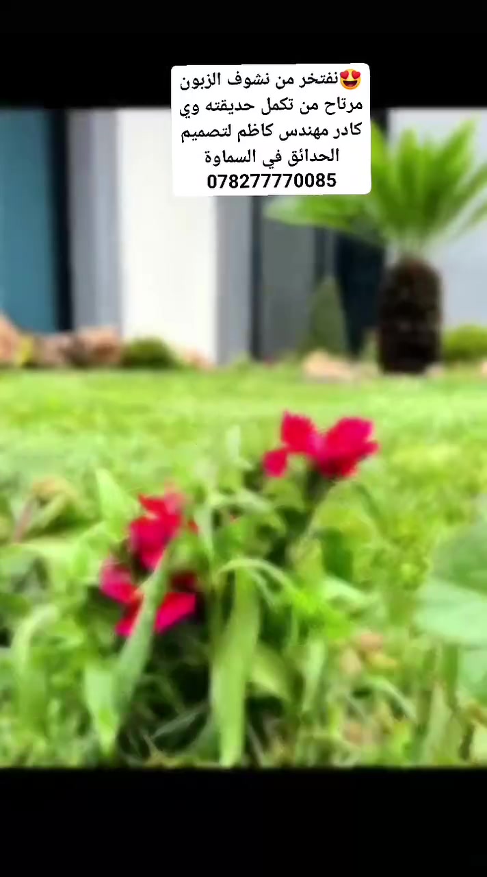 🌿 كادر كاظم العنزي لتصميم الحدائق — السماوة
✨ نحول المساحات العادية إلى حدائق فخمة تنبض بالجمال والراحة
متخصصون في تصميم وتنفيذ الحدائق العصرية بأحدث الأفكار الهندسية ولمسات مودرن راقية.
✔️ تصميم حدائق منزلية حديثة
✔️ شلالات وجدران مائية فخمة
✔️ ثيل طبيعي وصناعي درجة أولى
✔️ برجولات ومناطق باربكيو
✔️ إنارة خارجية وممرات ديكور
✔️ منظومات ري متكاملة
✔️ تنفيذ بإشراف هندسي ودقة عالية
📍 السماوة — المثنى
📞 ***********
كادر كاظم… عنوان الذوق والفخامة في تصميم الحدائق 🌴✨***********5
