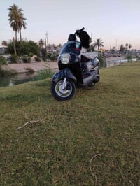 بوليس • مكفول • مستعجل