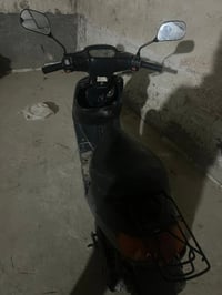 بطة • ياباني • سلف
