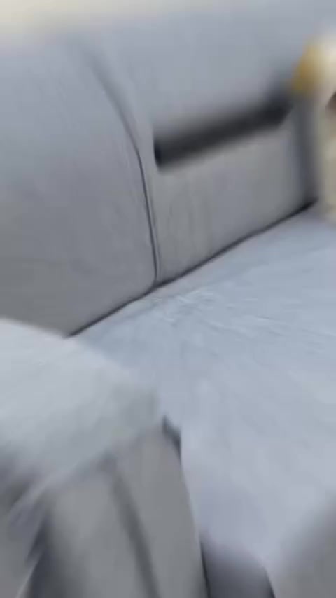 نجار اوغلو 
كركوك ساحة الاحتفالات قرب حلويات جنة 

#اكسبلور #كركوك_طريق_بغداد #كركوك❤️ #العراق🇮🇶 #قنفات #كركوك


**إذا كنت صاحب هذا الإعلان وتريد حذفه لأي سبب، رجاءا أرسل رسالة إلى الدعم الفني**