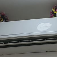 سبلت • كاريره • طنين