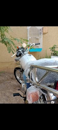 دراجه • شغاله • دهان كامل