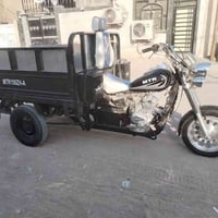 ستوته • موديل 18 • رخصة سنوية باسمي