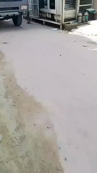 الصلاة على النبي • آل محمد • ميسان