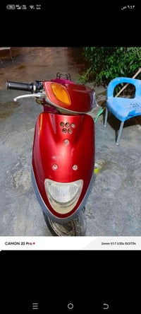 منغولي فحل للبيع السعر 200 07748493145