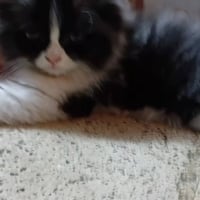 نظيفة • بيت • رمل