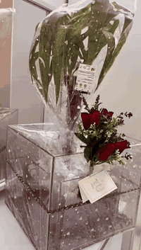 بغداد • ديكور حوض • ٢٥×٢٥سم