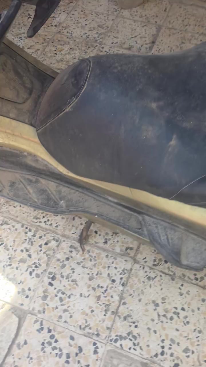 خوان ولشرح داخل ولفيديو من رخصت مدير الكروب فورزه صفرعشره


**إذا كنت صاحب هذا الإعلان وتريد حذفه لأي سبب، رجاءا أرسل رسالة إلى الدعم الفني**