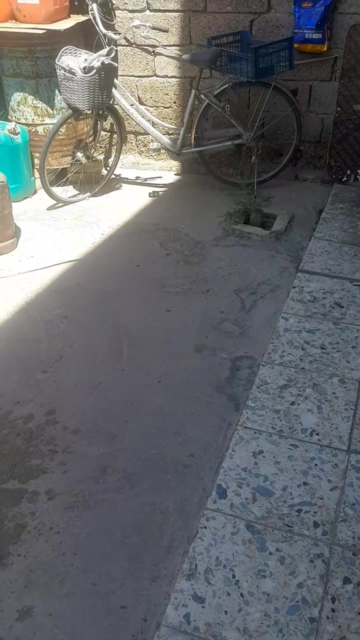 ***********
