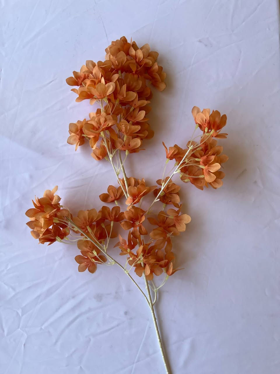 متوفو الان عروض خاصة


**إذا كنت صاحب هذا الإعلان وتريد حذفه لأي سبب، رجاءا أرسل رسالة إلى الدعم الفني**