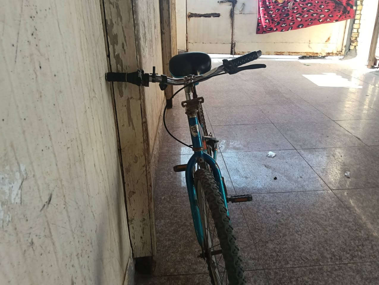 با يسكل جبلي في ناصريه حي شهداء لاستفار ***********
