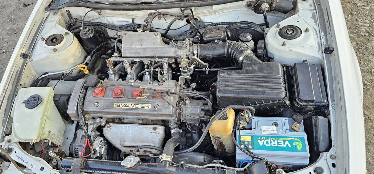 كورلا موديل 95🚘
رقم نينوى الماني 🚦
سنويه 27
كابون ماستر ⛽️
محرك 16
تبريد شغال 🧊
بارد بل داير 
طخم تاير جديد 🛞
السعر 57 وبيها مجال 
خاص ما اجاوب

انتصال عل رقم ***********
