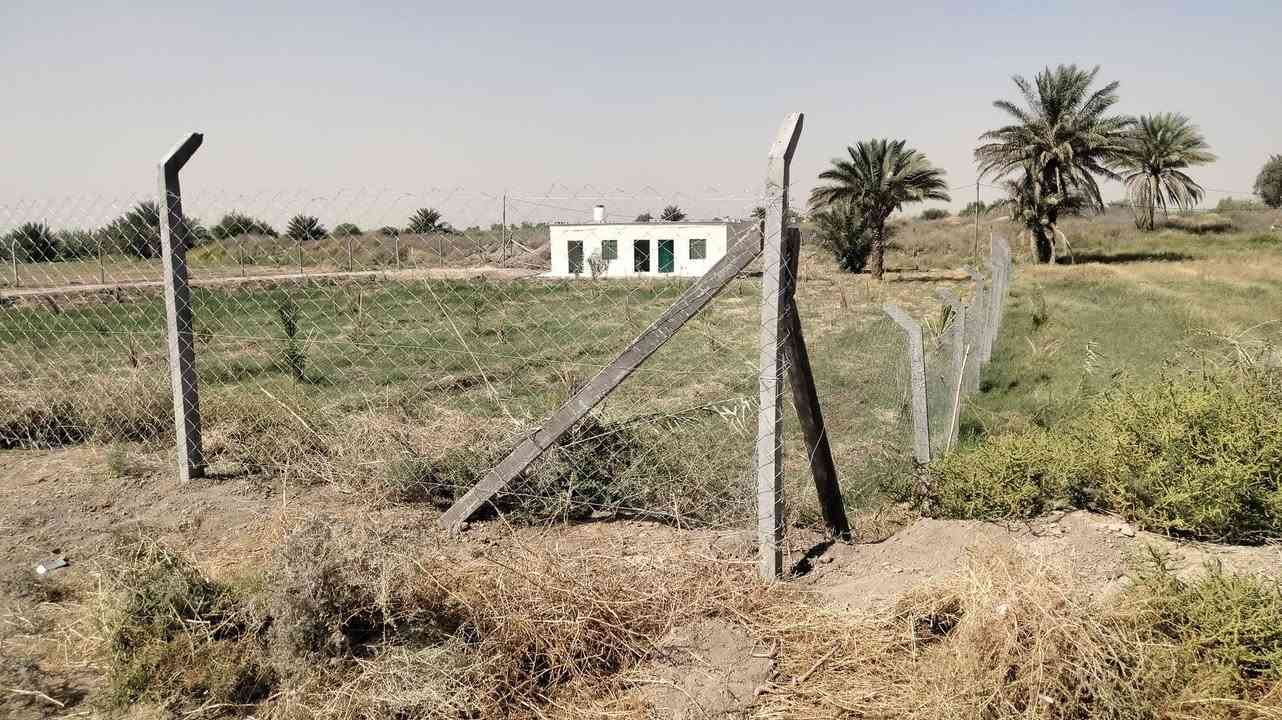 دونم و300 للبيع بعرب جبور شارع 37 قرب تل أعمر ومضيف شيخ شفيق المعجون الجبوري وبيه غرفتين وخدماتهن وكهرباء ومزروع نخل وجه التبليط 45 م 
السعر ب٥٠ واقع حال 
***********
ابو ليث
