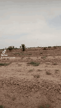 ١٣دونم • خان بني سعد • ابار ٢