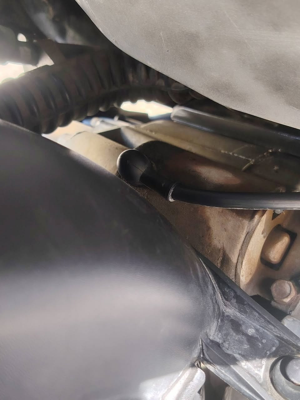 *********** 900 بيه مجاشي بسيط
