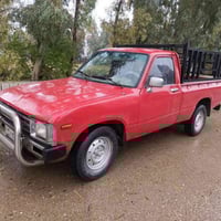 بيكاب • ١٩٨٢ • السليمانية