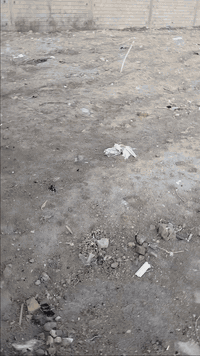 سديناويه ام العيش • ٦٠٠م • طابو أسهم