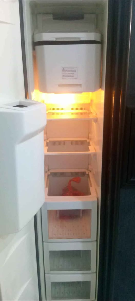 السلام عليكم ثلاجه للبيع تركي شركه بيكو. اخت الجديده 
450 الف كربلاء المقدسة حي الجهاد كربلاء, العراق


**إذا كنت صاحب هذا الإعلان وتريد حذفه لأي سبب، رجاءا أرسل رسالة إلى الدعم الفني**