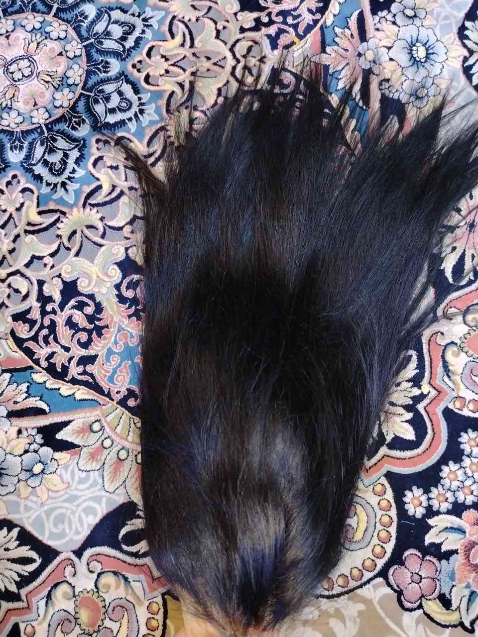 باروكة شعر طبيعي طول 60سم فول شبكة تنفرك جميع الجهات


**إذا كنت صاحب هذا الإعلان وتريد حذفه لأي سبب، رجاءا أرسل رسالة إلى الدعم الفني**