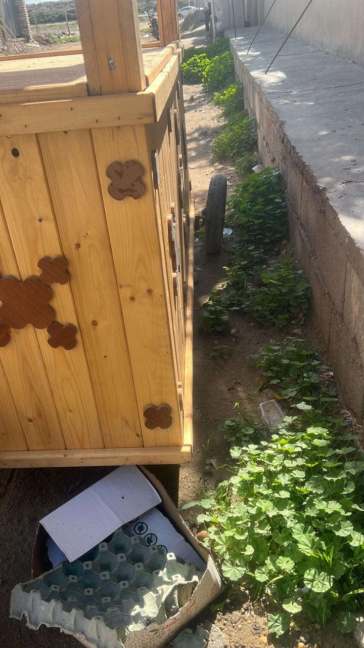 ‏عربانة للبيع السعر 450 عربانة مال اللب والاه أو مات شاي الرقم والتفاصيل على هذا الرقم ***********
