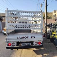 كيا • حجر • ارتفاع ١م