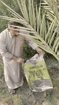 الهيوماك السلوفاكي سر النجاح  الاخ المزارع ابو سجاد المحنة يبدع في شرح...