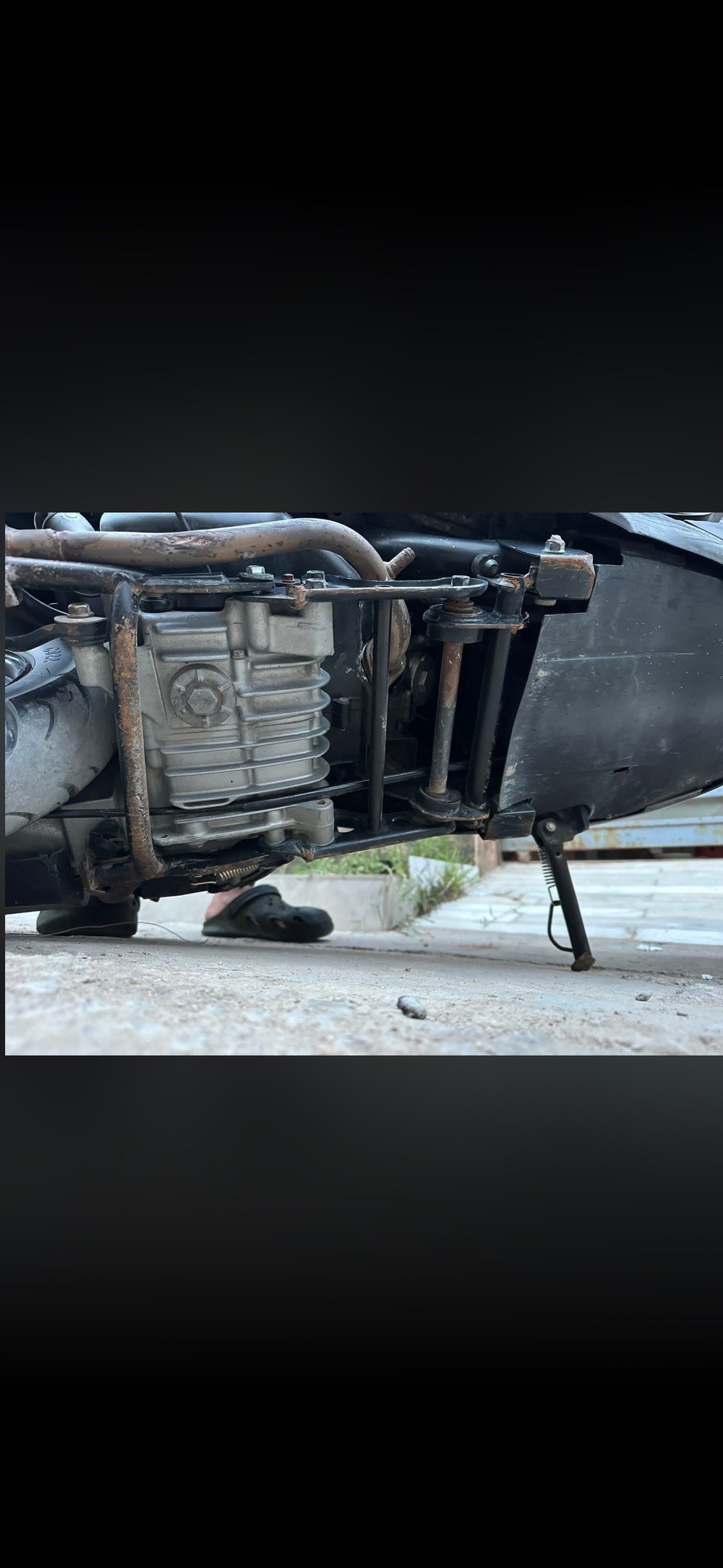 ‏سلام عليكم دراجة ماكس عدلة ‏حاوية

‏النظافة 100% ما بها أي نقص  معدل كل شيء بها شغال السعر900 بيها مجال



                     🤍🌚***********