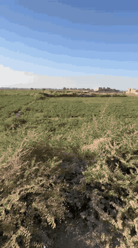 دونم ركن • ٥٠×٥٠ • كورنيش حي الحكيم