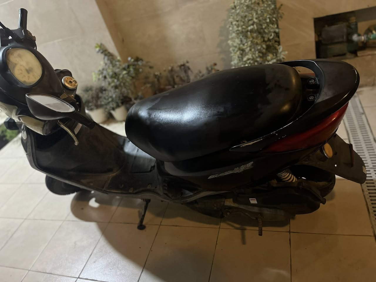 للبيع بريز ببغاء دراجه حلوه ونضيفه الصور كدامكم تايرات جديده بريكات امامي خلفي شغال لايتات عالي ناصي + لايت إضافي اشاير هورن دراجه ما بيهه نقص باتري جديد بلك جديد عداد سرعه وبانزين كله شغال دراجه ما بيهه نقص ملاحضه بيهه تبخير الدراجه على ايدي وتمشيك بعد سنه سنتين كلشي ما عليهه السعر 600 وبيهه مجال للشراي مكان بغداد العامريه ***********
