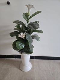 فازات بلاستك • كبيره • للديكور