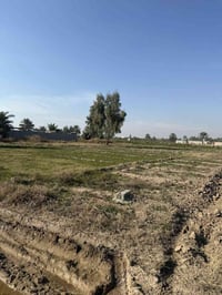 تقاطع السادة • ٢٤٨٠م • واجهة ٤٠م