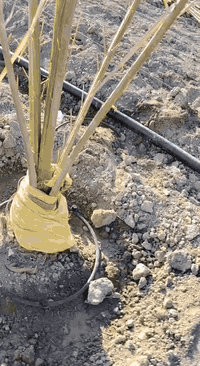 كادر لعمل منضومات تقطير وتجهيز الحدائق في كافت محافظات العراق 07756066...