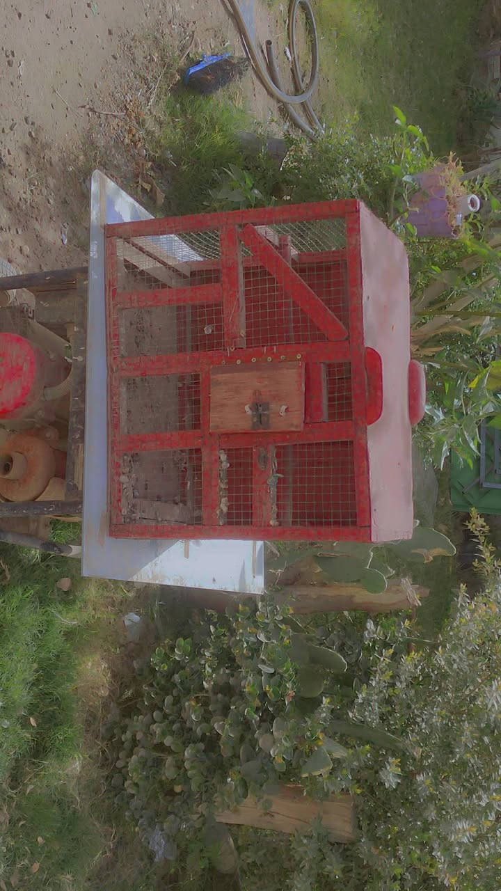 مساء الخير للجميع عندي هاي الغراض اريد ابيعهن اقفاصه او ميز جام بي مهداره قاعدت طباخ مالت دراجات ***********(
***********/////حله شارع 80مالت كربلاء سفينة نجات ثانيه
