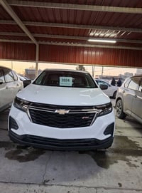 ايكونيكس • ٢٠٢٤ • بدون صبغ