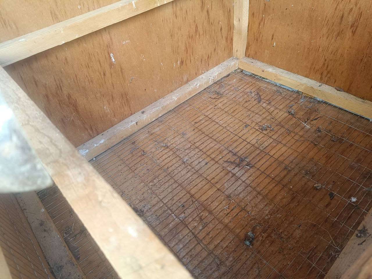 ئم قەفەسە بەردەستە پێشی بی ئاڕ سیە پشت و لای فایبەرە زۆر توند و تۆڵە 1 بە 1 سعری 25


**إذا كنت صاحب هذا الإعلان وتريد حذفه لأي سبب، رجاءا أرسل رسالة إلى الدعم الفني**