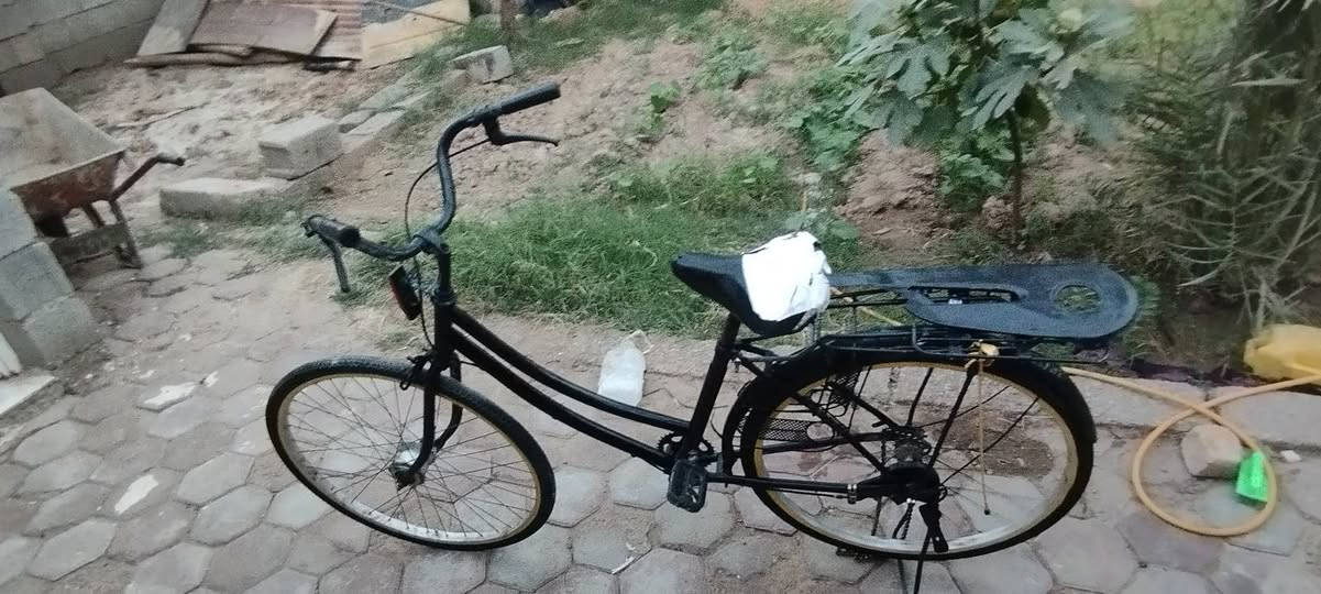 سعر٥٥ وبي مجال عنوان كوت ستفسار خاص


**إذا كنت صاحب هذا الإعلان وتريد حذفه لأي سبب، رجاءا أرسل رسالة إلى الدعم الفني**