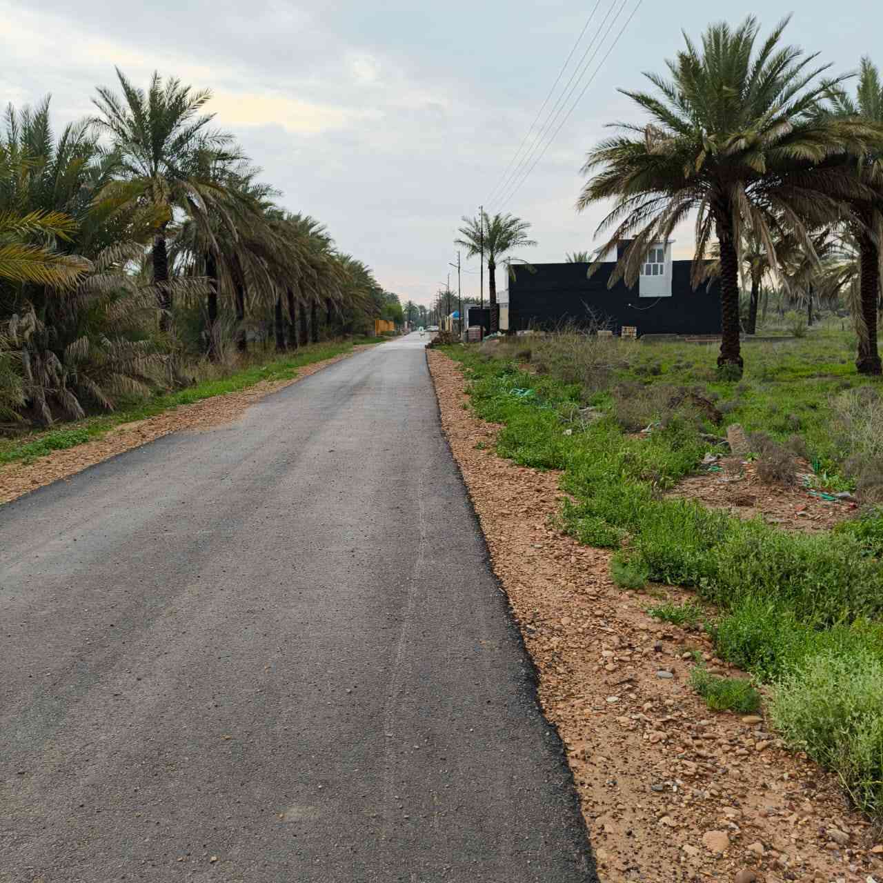 السلام عليكم 
مزرعه للبيع المساحه الكليه ربع دونم الصافي ٥٠٠ متر
طابو سند ٢٥ . يوجد كهرباء وشارع فرعي ٨ متر و شارع رئيسي ١٠ متر .ترهم سكن وترهم مكان ونسه 

يوجد ماء اساله وبئر ماء وغرفه مع السياج لتربيه الدجاج 
وفرن شوي و ٧ اشجار برتقال و٣ اشجار رمان و زيتون ونخل 
وتين 
العنوان مدخل الصناعه الثالثه قريب ع اسواق الكربولي
شارع حجي قيس البياتي

السعر ٤٢ بي مجال قليل
للاستفسار الاتصال على الرقم 
***********
الي يريده يدخل خاص حتى ادزه لان مايصير انزله هنا
