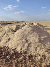 تبن حنطه • تبن دجه • نضيف حيل
