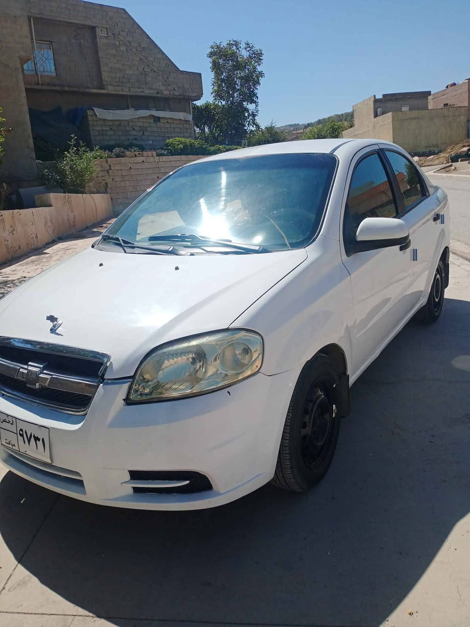 ***********  ***********شقلاوە أربيل, العراق
