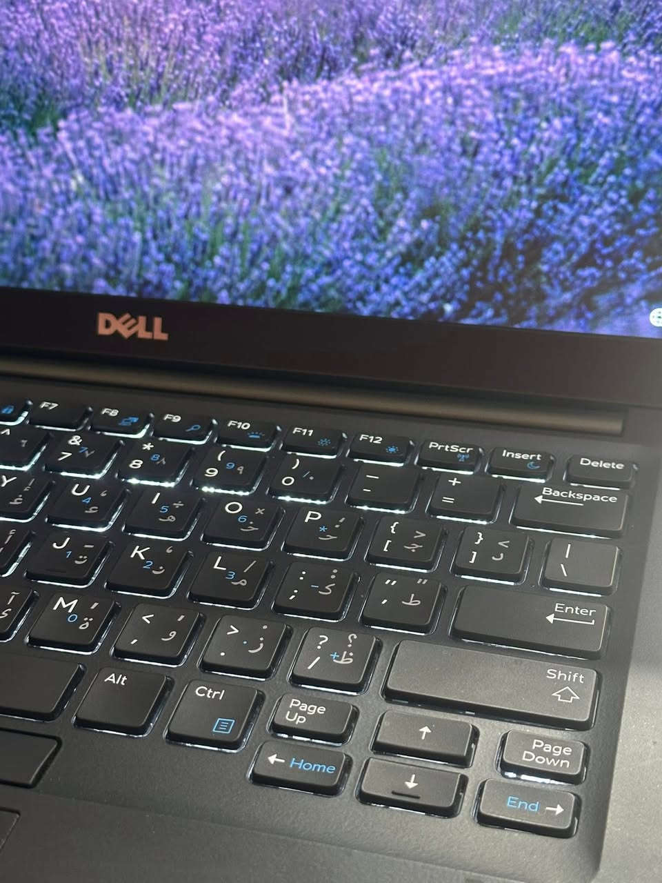 جيل ثامن رام 16 اس اس دي 265


**إذا كنت صاحب هذا الإعلان وتريد حذفه لأي سبب، رجاءا أرسل رسالة إلى الدعم الفني**