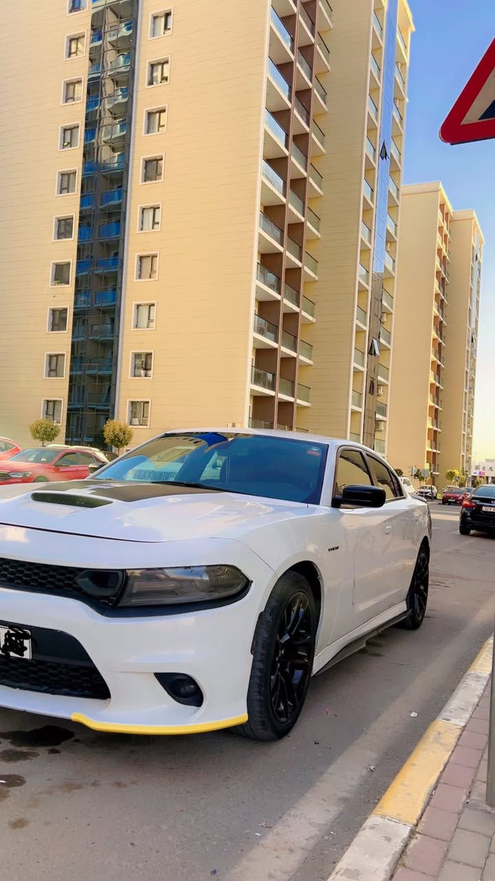 جارجر RT 2021 للبيع
مكينه هيمي 5700 شرط كير 8 نمره شرط

ماشي 68 ml

ضررها جاملغ امامي بدون دواخل

طخم تاير اصلي جارجر جديد

ويل ارتي 20 اصلي لافطر لاجلخ

كشنات كهرب كنتارة حضن لون غريب ونادر

دلكة srt كاربون فايبر اصلي مطعم شاموو

باقي مواصفات الRT معروفه

سيارة مامشتغلة خط ابد

السعر #250 مجالها حك جيتك 

للتواصل فقط واتساب او عالرقم

ماسنجر ماجاوب ابد 

***********
