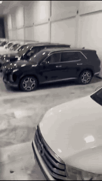 باليسايد • ٢٠٢٤ • ماشيه ٥٠٠٠٠