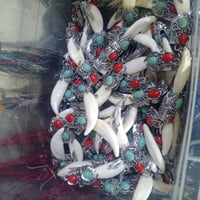 ناب الذيب سعر الناب ٣٠٠٠ الاف جمله فقط لصحاب البيجات لناس على باب الله...