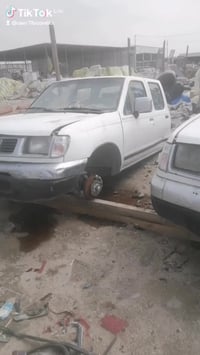 قماير نيسان • بصرة • مزاد سفوان