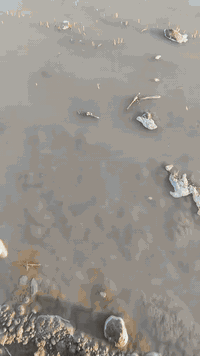 جاهزين للعمل كافت المحافضات عمل دراجه أولى ***********.      ***********
