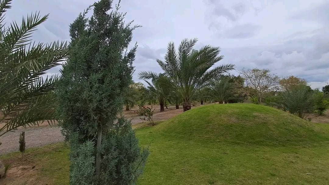 للبيع 🔥 فرصة استثمارية مميزة
مزرعة بمساحة 15 دونم (طابو زراعي – تحويل مباشر)
📍 الموقع: على الطريق الدولي بغداد – الأنبار، مقابل جامعة الفلوجة
📏 الواجهة: 100 متر مباشر على الشارع العام
✨ مميزات المزرعة:
دار عدد 2 جاهزة للسكن
استراحة كرفانات + خيمة كبيرة مجهزة بالكامل
جلسة مثمنة (سكيورتي)
جميع الخدمات متوفرة (ماء، كهرباء)
مزروعة بأفضل أنواع النخيل والفواكه المتنوعة
مسيجة بالكامل
اسطبل خيول متكامل
محمية حيوانات
💰 السعر: الدونم 250 مليون (قابل للتفاوض)
📞 للاتصال والاستفسار:
***********
📱 واتساب: ***********
