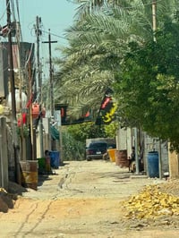 ٢٥٠متر • طابو زراعي • واجهة ١٢م