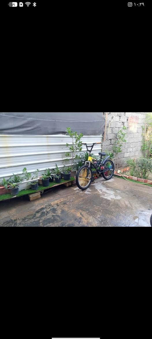 سلام عليكم بايسكل بي ام اكس دبابه للبيع السعر 60 وبي مجال بسيط
يحتاج فقط جوابه
الرقم ***********
بي واتساب
