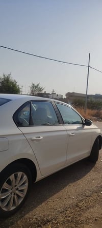 بورا • بدون صبغ • كركوك