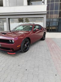 جالنجر SXT • ٢٠١٨ • رقم اربيل